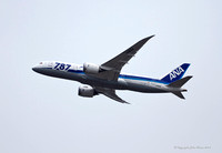 Boeing 787 [JA813A]