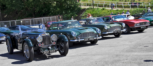 Vintage Aston Martin's
