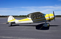 Cessna 195 [N195ST]