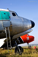 Douglas DC-4s