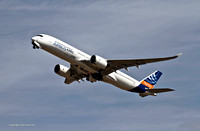 A350 Airbus [F-WXWB]