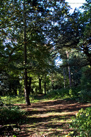 Views of Cranford Park