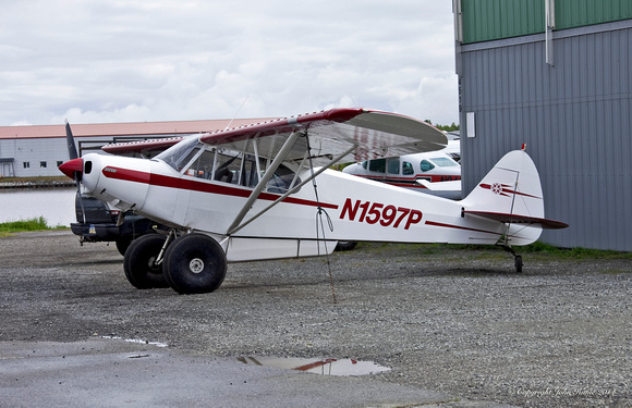 Piper PA-18 Super Cub [N1597P]