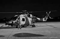 Westland Lynx [ZG885]