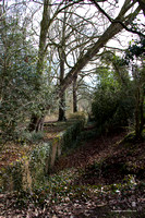 Views of Cranford Park