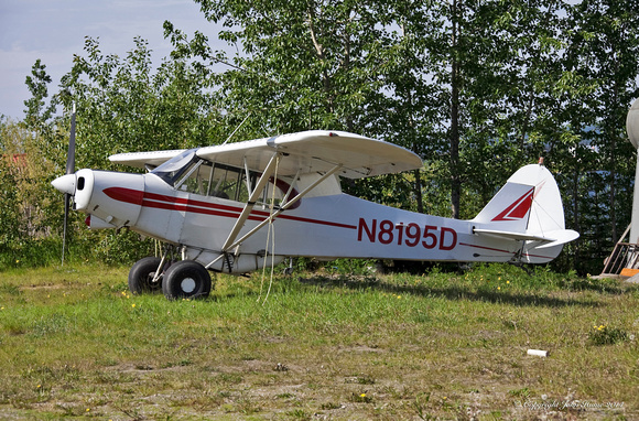 Piper PA-18 Super Cub [N8195D]