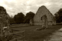 The Fulling Mill