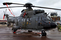 Super Puma [T317]