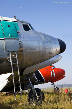 Douglas DC-4s